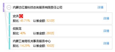 信息技術(shù)咨詢服務(wù) 內(nèi)蒙古紅盾科技咨詢服務(wù)有限責(zé)任公司的專業(yè)優(yōu)勢(shì)